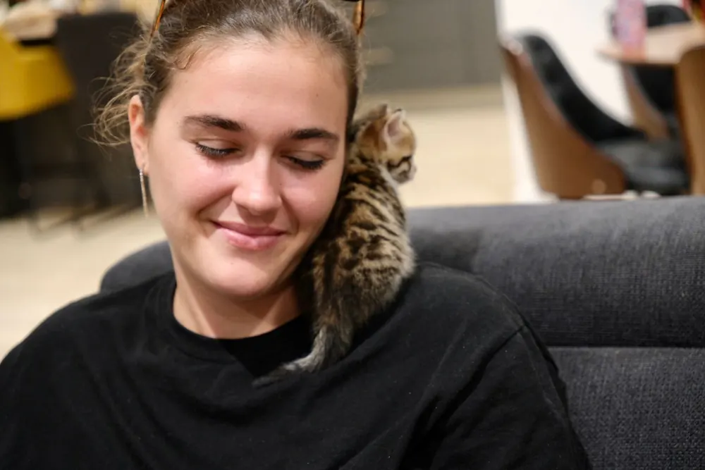 Kelly avec un chaton tigré blotti sur son épaule